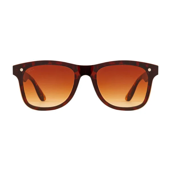 wayfarer sunglass